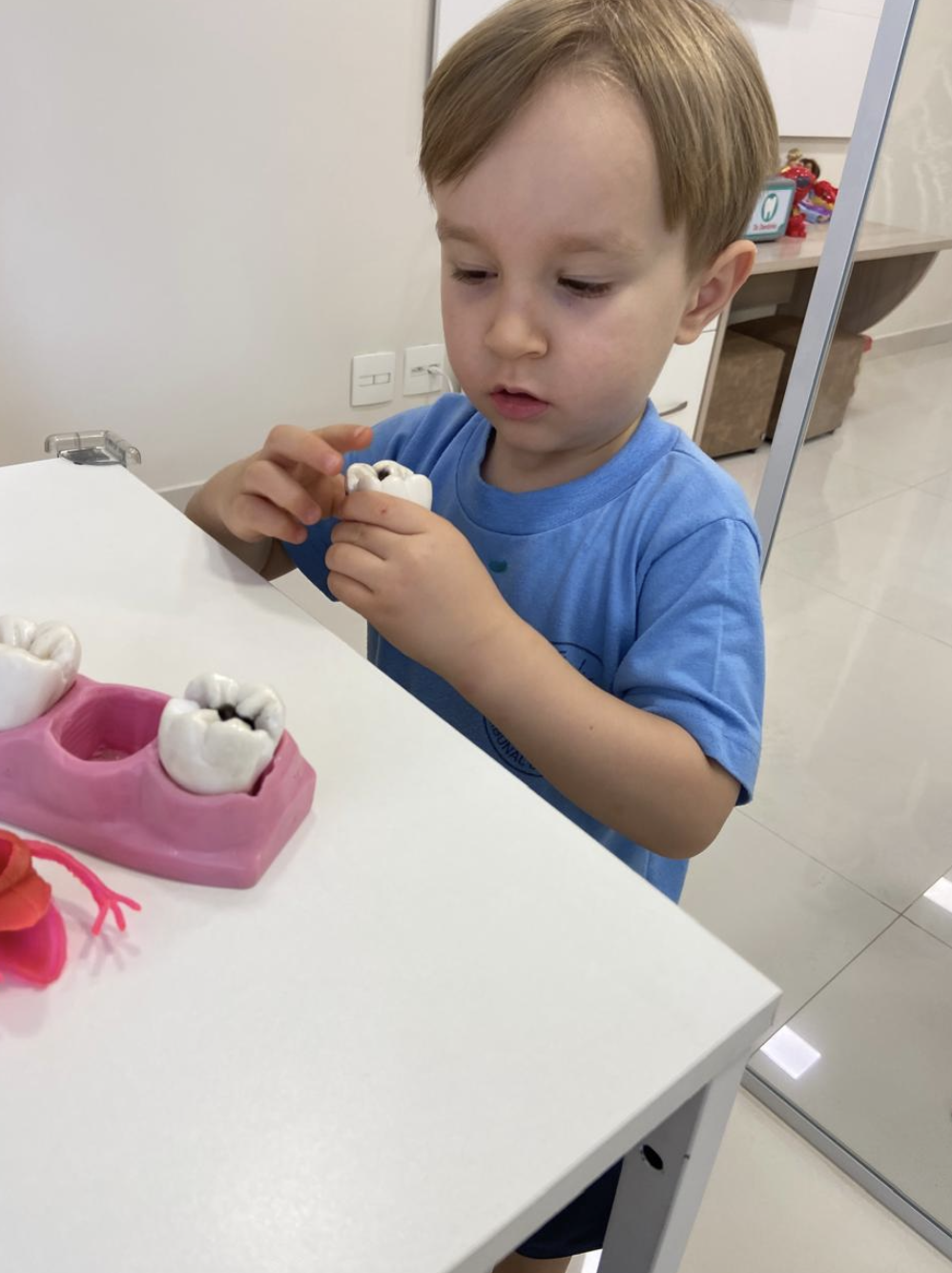 Criança explorando modelo de dente durante orientação educativa